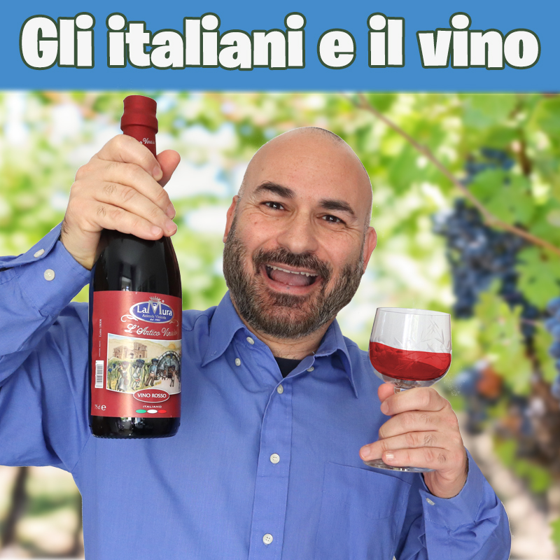 Gli italiani e il vino