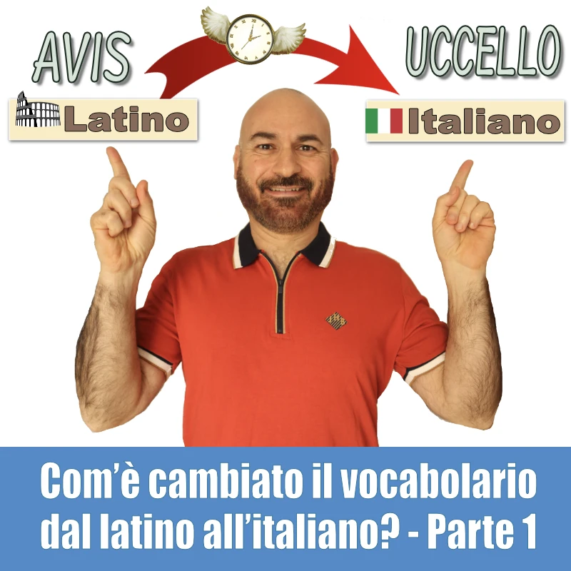 Com’è cambiato il vocabolario dal latino all'italiano? - Parte 1